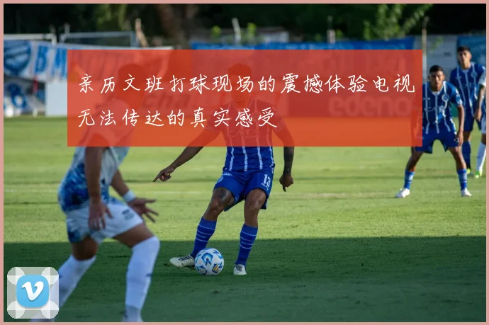 亲历文班打球现场的震撼体验电视无法传达的真实感受