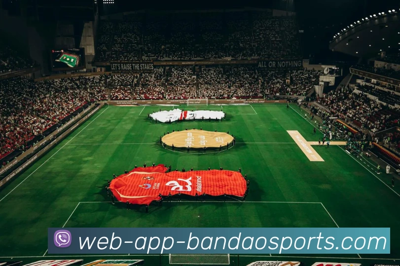 半岛体育APP 高清赛事图